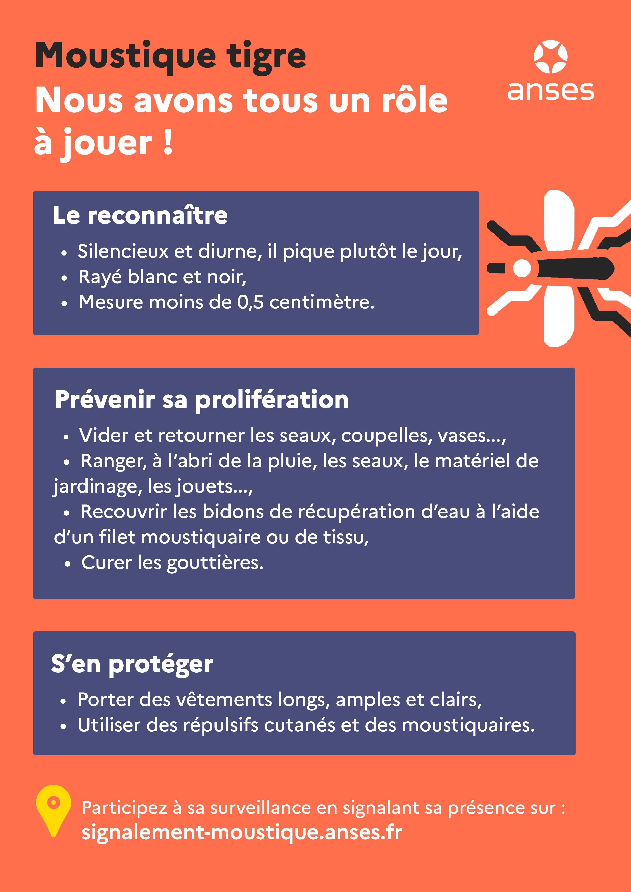 Infographie "Moustique tigre : nous avons tous un rôle à jouer !"