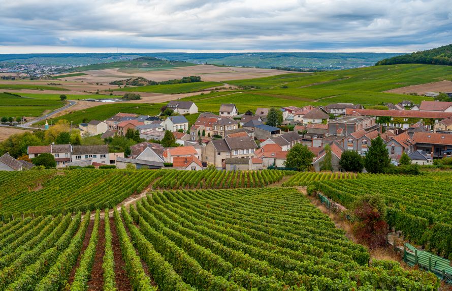 Etude des liens entre des cancers pédiatriques et résidence à proximité de vignes