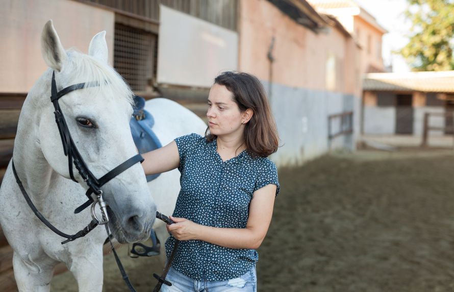 Collaboration « One Health » sur une bactérie multirésistante aux antibiotiques chez les chevaux